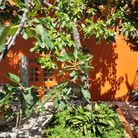 Апартаменти Ex Hacienda Гуанахуато Екстер'єр фото